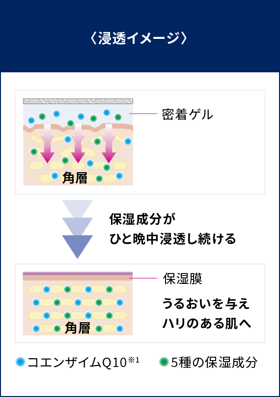 浸透イメージ